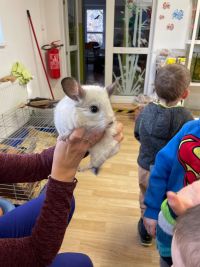 fotografie z alba Projektový den Veterinář (MŠ, 2025)