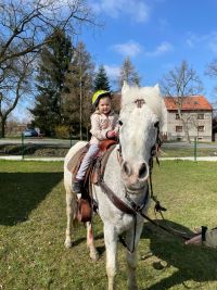 fotografie z alba Koník v MŠ (2025)