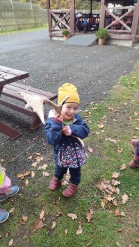 fotografie z alba MŠ 25/26  Na exkurzi v oboře